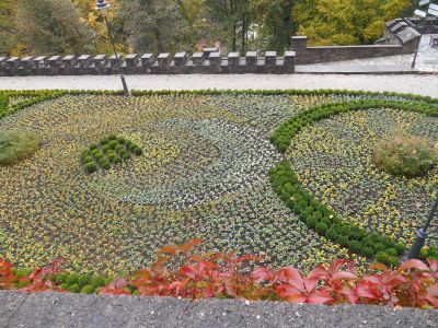 Click to view full size image