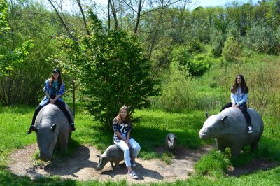 Click to view full size image